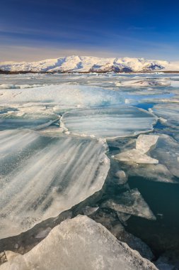 Jokulsarlon buzul lagün buzdağı