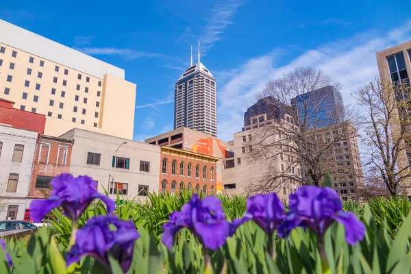 Orizzonte del centro di Indianapolis — Foto Stock