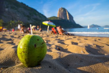 Hindistan cevizi ve plaj Rio de Janeiro