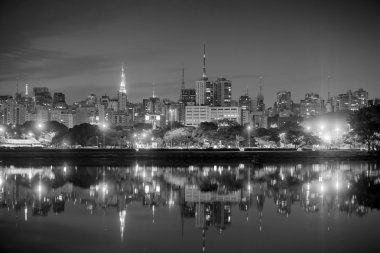 Parque Ibirapuera park Sao Paulo manzarası