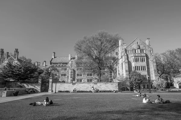 Yale University campus — Stockfoto