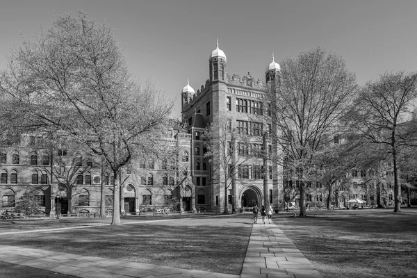 Yale university buildings — Stock Photo, Image