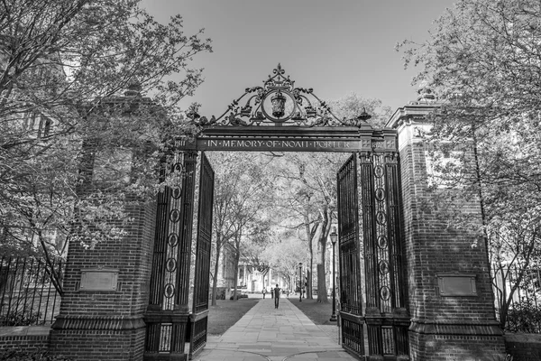 イェール大学の建物 — ストック写真