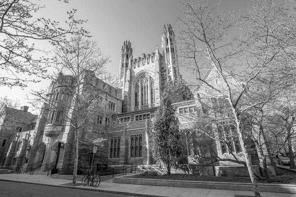 Yale university buildings — Stock Photo, Image