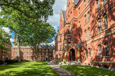 Harvard Üniversitesi