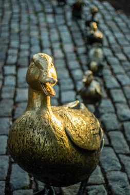 boston halk bahçesi 