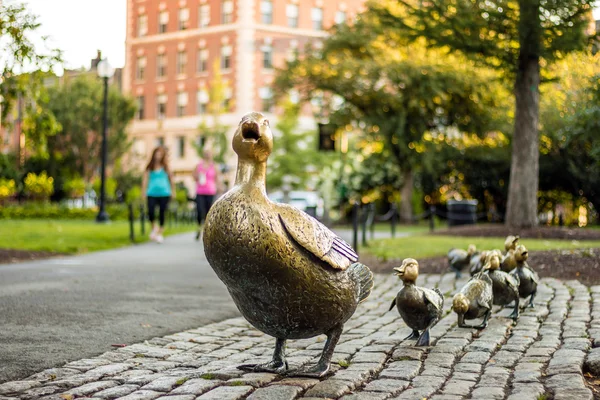Jardín público de Boston — Foto de Stock