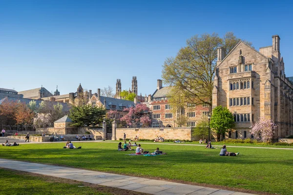 Campus Universitario de Yale —  Fotos de Stock