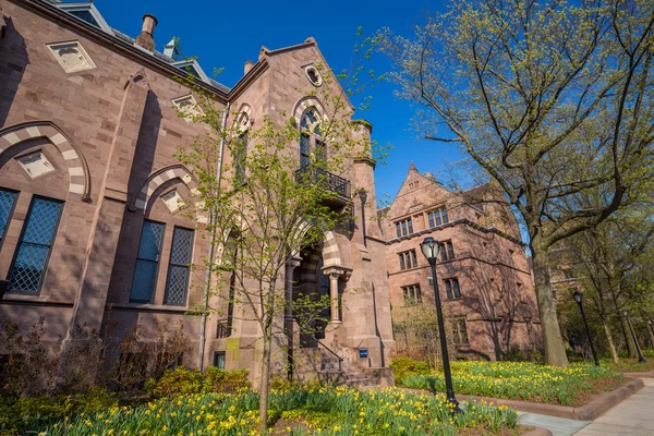 Edifícios universitários de Yale — Fotografia de Stock