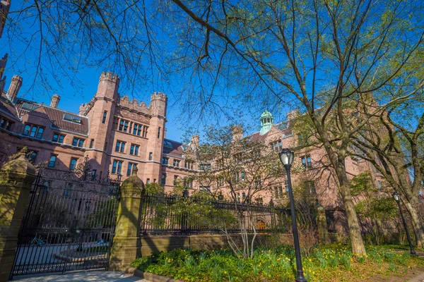 Yale universiteitsgebouwen — Stockfoto