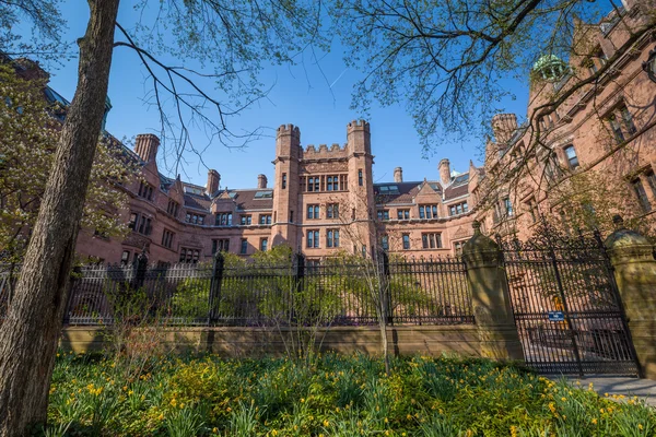 Edifici universitari di Yale — Foto Stock