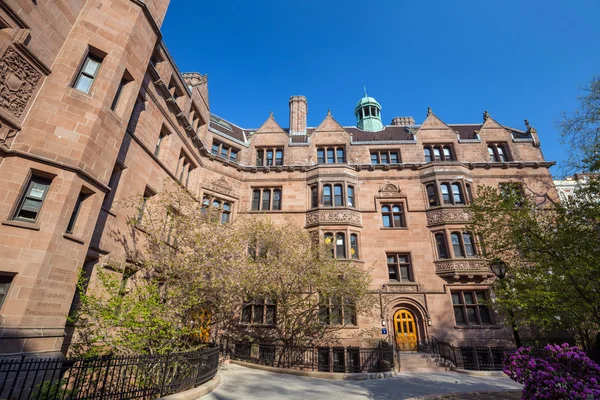 Yale universiteitsgebouwen — Stockfoto