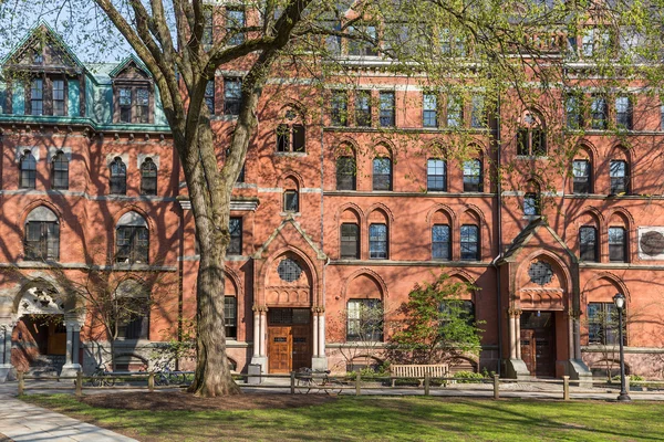 Edifici universitari di Yale — Foto Stock