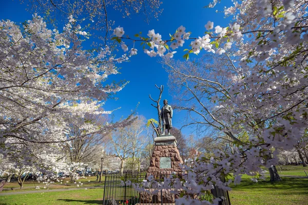 Wooster Square in New Haven — Stock Photo, Image