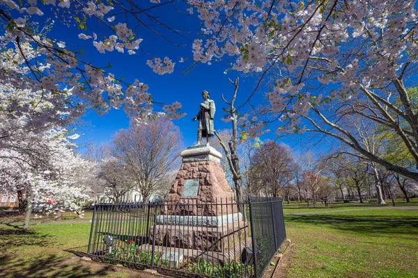 Wooster Square a New Haven — Foto Stock