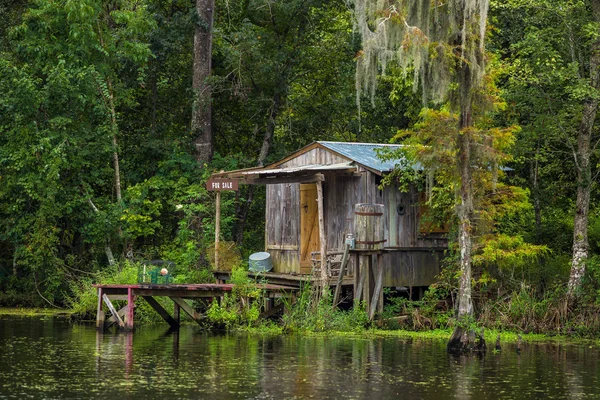 Casa velha em um pântano em Nova Orleans — Fotografia de Stock