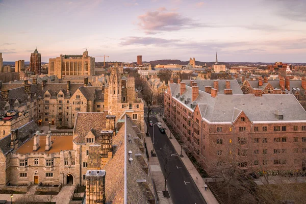 Tarihi bina ve Yale Üniversitesi kampüsü — Stok fotoğraf