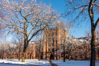 Yale Üniversite binaları