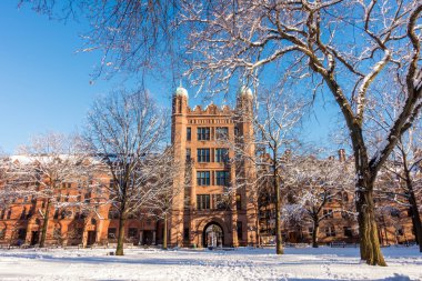 Yale Üniversite binaları
