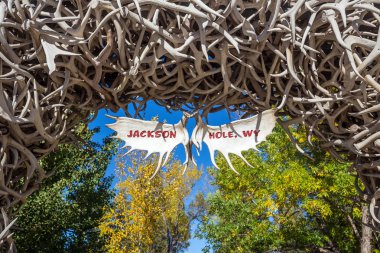 Büyük elk boynuz kemerler eğrisi üzerinde Jackson Hole, Wyoming