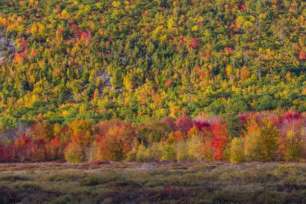 美丽的秋天色彩的阿卡迪亚 （缅因州）. — 图库照片