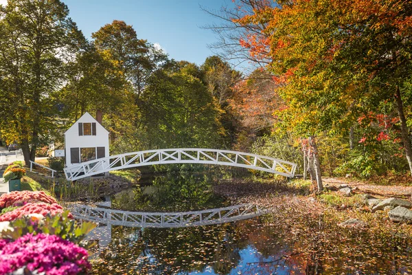Favori köprüler Acadia Milli Parkı'nda fotoğraflandı — Stok fotoğraf