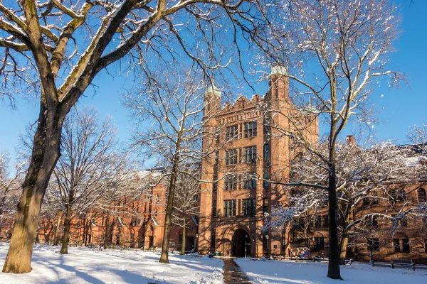 Edificios universitarios de Yale —  Fotos de Stock