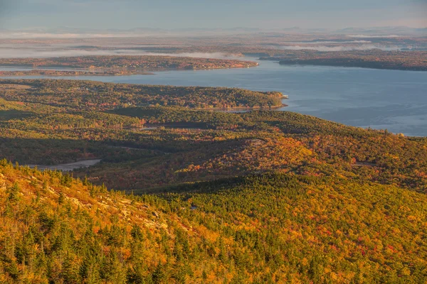 Gyönyörű őszi színek Acadia, Maine. — Stock Fotó