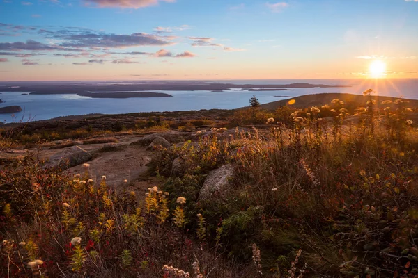 Красивые осенние цвета Acadia, Мэн . — стоковое фото