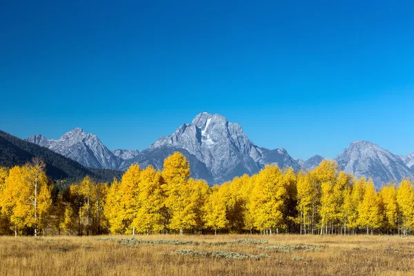 Parco nazionale del Grand Teton in autunno — Foto Stock