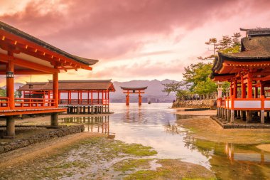 Miyajima Adası, Japonya 'nın ünlü yüzen Torii kapısı.