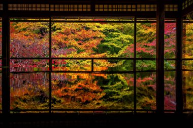 Japonya, Kyoto 'daki Rurikoin Tapınağı' nın renkli sonbahar Japon bahçesi