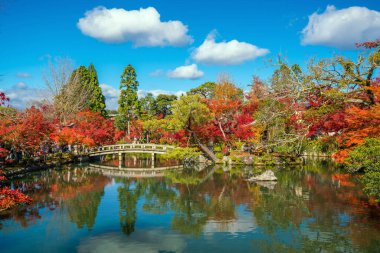 Kyoto, Kansai, Japonya 'daki Eikando tapınağında sonbahar yeşillik ve gölet