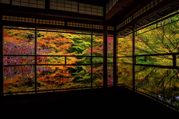 Outono Colorido Jardim Japonês Templo Rurikoin Kyoto Japão — Fotografia de Stock