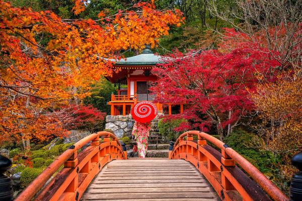 Young women wearing traditional Japanese Yukata at Daigo-ji temple with colorful red maple trees in autumn