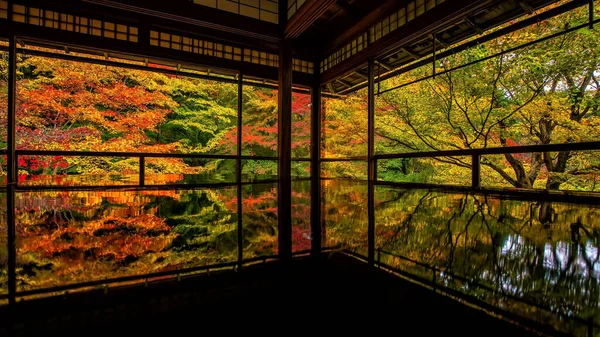 Jardin Japonais Automne Coloré Temple Rurikoin Kyoto Japon — Photo