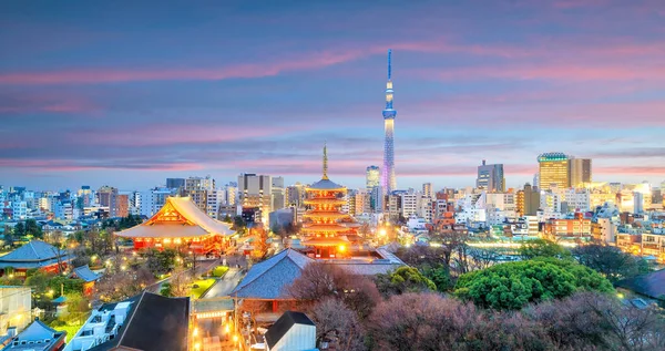 Veduta Dello Skyline Tokyo Crepuscolo Giappone — Foto Stock