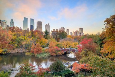 Central Park Sonbaharda Renkli ağaçlar ve gökdelenlerle 