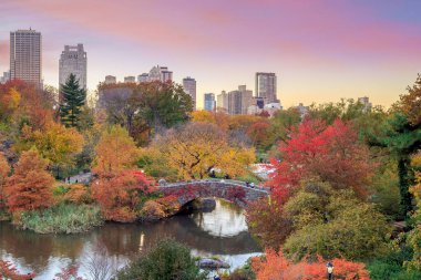 Central Park Sonbaharda Renkli ağaçlar ve gökdelenlerle 