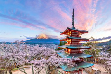Japonya 'da gün batımında Fuji ve Chureito Dağı kiraz çiçekli kırmızı pagoda (sakura)