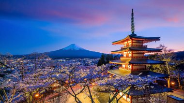 Fuji ve Chureito Dağı gün batımında kiraz çiçekli kırmızı pagoda