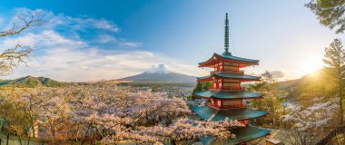 Fuji ve Chureito Dağı gün batımında kiraz çiçekli kırmızı pagoda