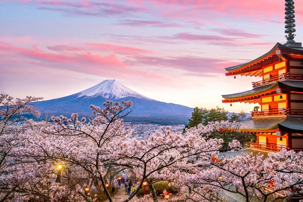 Montaña Fuji Chureito Pagoda Roja Con Sakura Flor Cerezo Atardecer — Foto de Stock