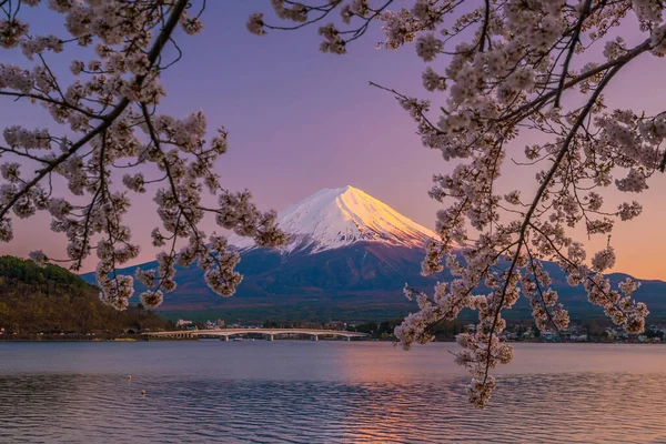 Гора Фудзи Цветущей Вишней Сакура Вид Озера Кавагутико Япония — стоковое фото