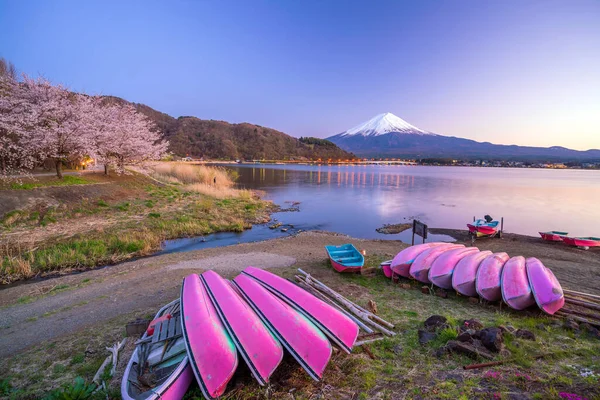 富士山与樱桃Blossom Sakura 从日本川口湖观看 — 图库照片