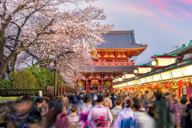 Asakusa 'daki alışveriş sokağındaki turistler Sensoji Tapınağına bağlanıyor 