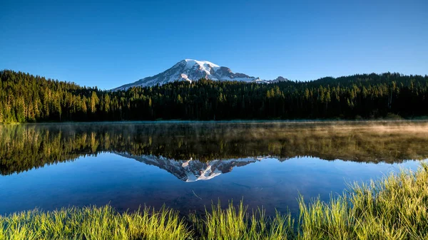 Schöne Wildblumen Und Mount Rainier Bundesstaat Washington Den Usa — Stockfoto