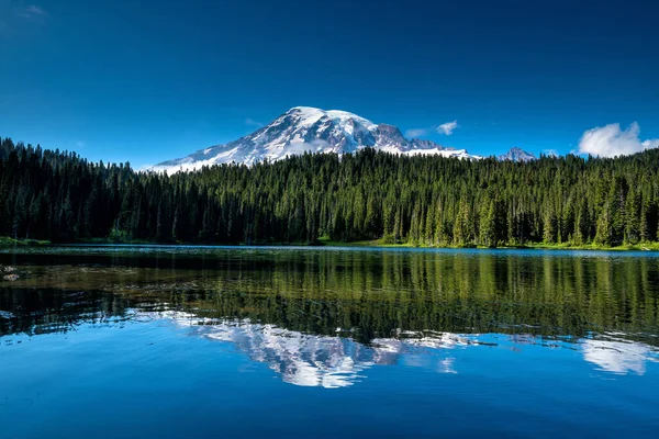 Gyönyörű Vadvirágok Mount Rainier Washington Állam Egyesült Államok — Stock Fotó