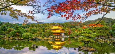 Japonya 'nın Kyoto kentindeki Kinkaku-ji Tapınağı' nın Altın Pavyonu 'nun sonbahar manzarası