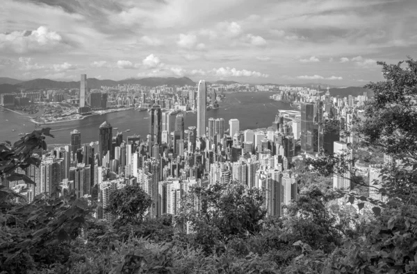 Panoramautsikt Victoria Harbor Hong Kong Skyline Kina – stockfoto